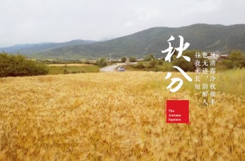路虎
